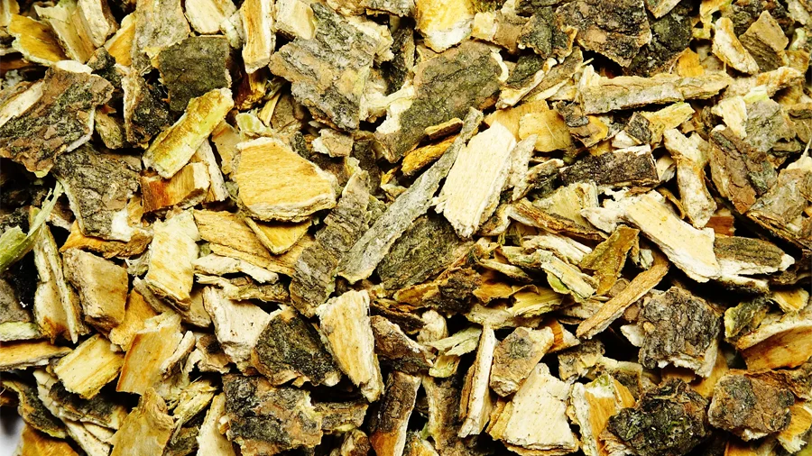 Cramp Bark Sourcing Issues: Part 1