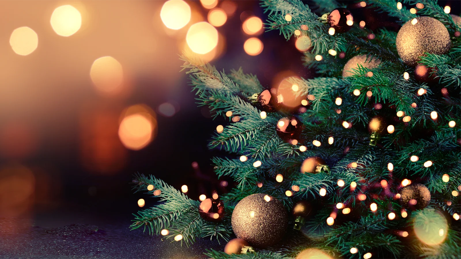 Happy Holidays